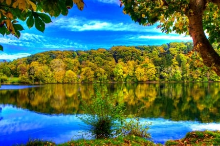 Autumn reflections - trees, branches, water, beautiful, tranquil, forest, fall, mirror, autumn, lake, sky