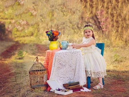 little girl - princess, people, hair, belle, sightly, white, face, childhood, fair, table, little, bonny, adorable, wallpaper, child, set, beautiful, pink, sweet, nice, beauty, photography, pretty, baby, cute, kid, dainty, girl, seat, lovely, pure, comely, desktopnexus, blonde