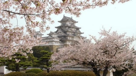 Himeji Castle - himeji, japanese, spring, nature, cherry blossom, japan, sakura, castle, scenery