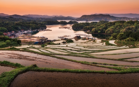 Kyushu Rice Terrace - fields, nature, japan, terrace, kyushu, scenery, japanese, rice