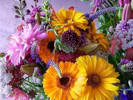 FLOWERS - leaves, assortment, petals, colors