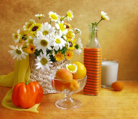 DAISIES - colors, abstract, petals, fruit