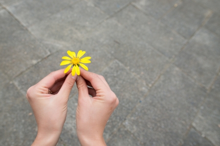 ♥ - abstract, hands, flower, soft