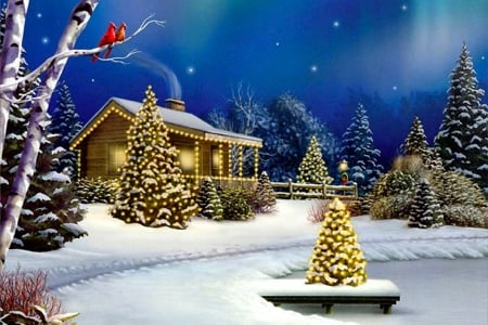 Festive Holiday Home - trees, winter, snow, holidays, home, festive, Cottage, christmas, lights