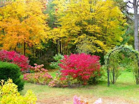 Autumn Park - nature, autumn, fall, trees, bush, park, garden, foliage