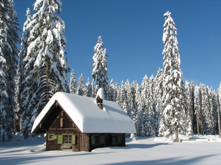 White Christmas - firs, cabin, landscape, snow