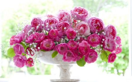 Beautiful Flower - flowers, tray, pink, bloom