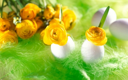 Beautiful Flowers in Eggshells - flowers, yellow, eggshells, green