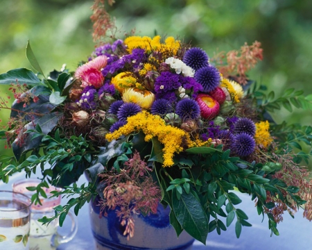 Beautiful Flowers - flowers, container, petals, bloom