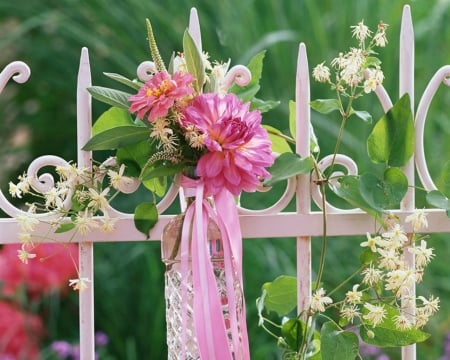 Beauty - flowers, petals, pink, fence