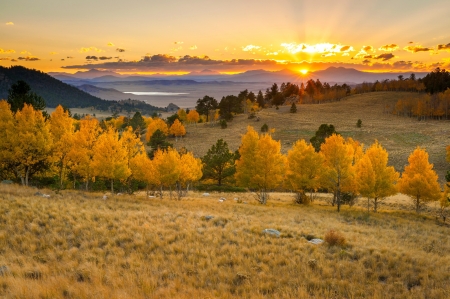 Wilkerson Pass Sunset - season, rays, autumn, landscape, trees, skt, field, sunset, glow, fall, beautiful, pass, golden, photo