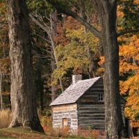 Log cabin in the woods