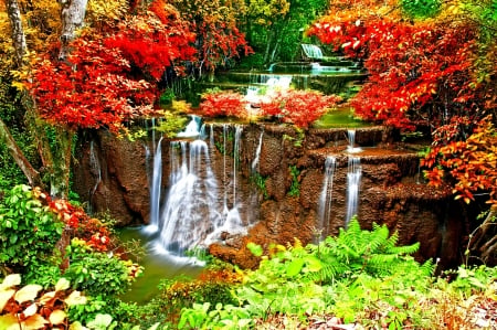 Cascade - waterfalls, tree, cascade, autumn