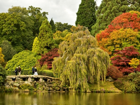 Autumn Park - nature, autumn, trees, park, stones, bridge, garden