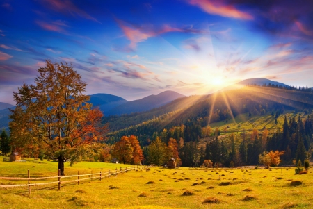 Autumn in mountains - rays, sky, autumn, mountain, trees, hills, landscape, sun, glow, fall, beautiful