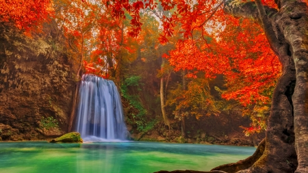 Autumn waterfall - fall, beautiful, waterfall, branches, trees, colors, season, autumn