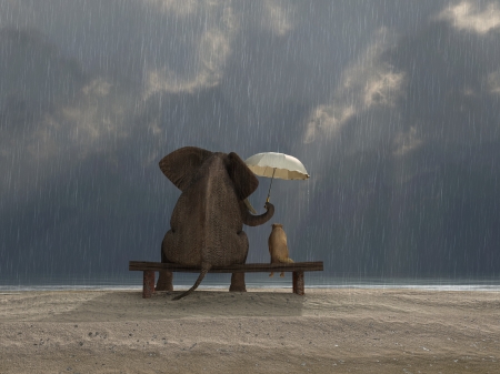 A real friend... - elephant, situation, rain, umbrella, mood, animal, creative, fantasy