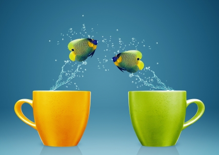 Funny fish - yellow, summer, blue, fish, couple, cup