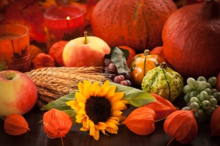 Autumn Still Life - sunflower, autumn, wheat, candles, apples, fruit, gourds, pumpkins, fall, leaves, flowers, grapes