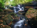 Forest Waterfall