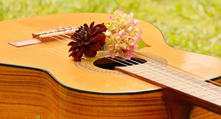 Guitar - instruments, guitar, song, music, flowers