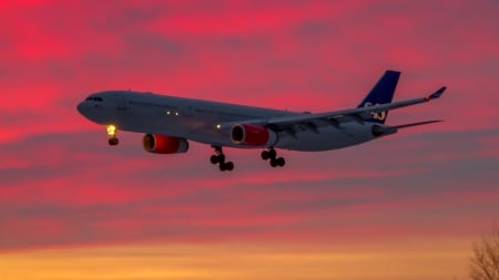 Scandinavian Airlines - Scandinavian, Aircraft, Airlines, SAS, Flying, Travel