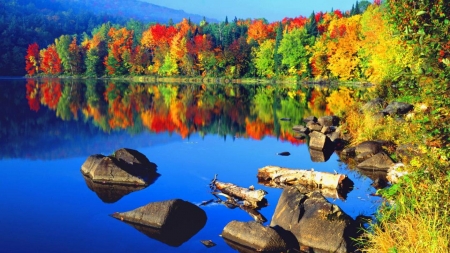 Autumn Forest - season, autumn, lake, mountain, trees, shore, mirrored, foliage, nature, crystal, forest, reflection, beautiful