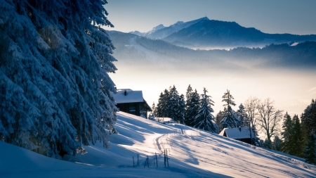 Winter Mountains - firs, landscape, cabins, snow