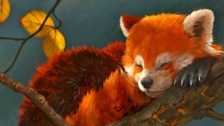 Nappy Time - autumn, sleep, fall, red panda, animal, orange, panda, cute