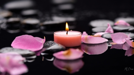 Light and Petals - heat, candle, light, rocks, flame, relaxation, spa, waters, rose petals, firefox persona theme