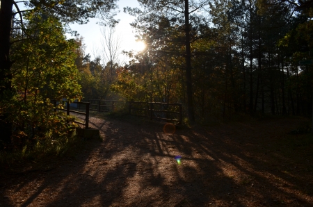 Autumn Sunset - fall, trees, forest, sunrays, colors, bridge