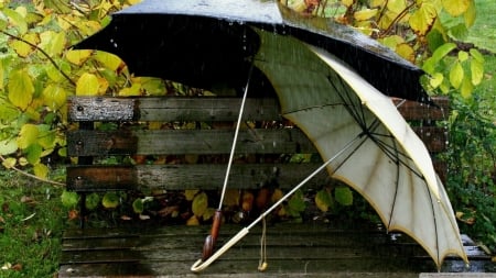 umbrellas_on_the_bench - bench, umbrella, leaves, autumn