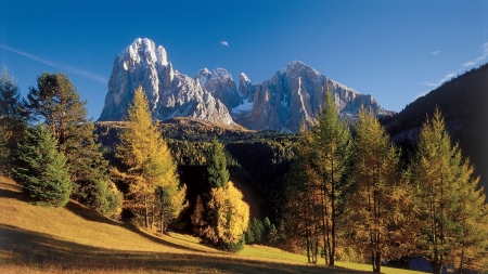 Val Gardena, Italy - fall, autumn, trees, dolomites, alps, colors