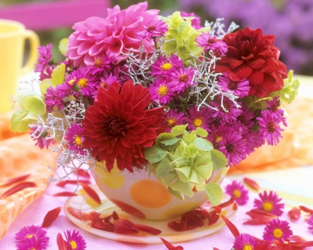 Beautiful Flowers - flowers, table, petals, bloom