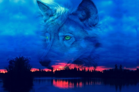 Fantasy Wolf Silouette - sunset, nature, blue, Clouds, eyes, lake, Wolf, animals