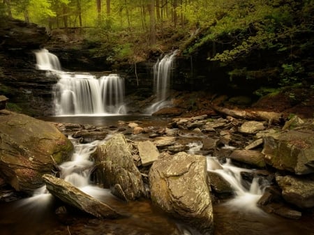 waterfalls - forest, cool, river, waterfall, fun, nature