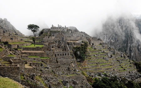 Machu Picchu - Incan, landscape, Machu Picchu, citadel, architecture, Peru, Inca, ancient, Ruins, Andes Mountains