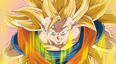 DBZ - Super Saiyan 3 Goku