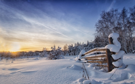 Winter Sunset - fence, sky, trees, clouds, snow, colors