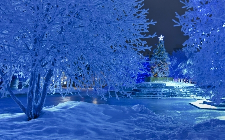 Winter Night at Christmastime