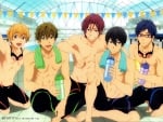 Free! Iwatobi Swim Club