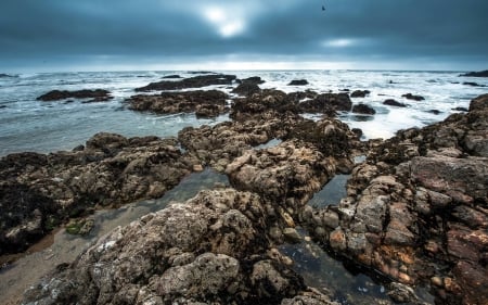 dark skies - nature, fun, ocean, beach, cool