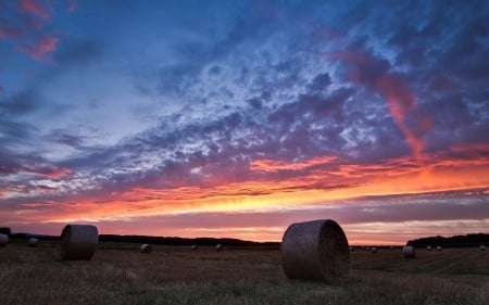 field sunset - nature, fun, cool, sunset, field