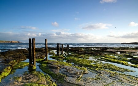 low tide - fun, ocean, nature, cool