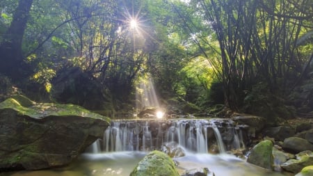 morning waterfall - nature, fun, morning, cool, forest, waterfall