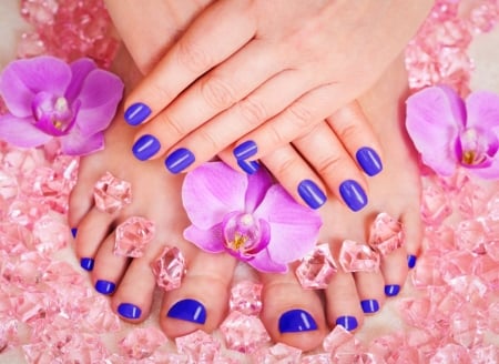 â™¥ - flowers, purple, orchids, hands