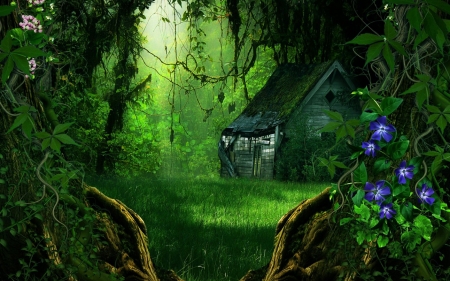 •ღ✿ღ• - house, fantasy, fantasy land, woods