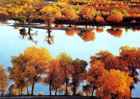 Autumn  Lake - nature, autumn, lake, fall, trees, reflection, colorful