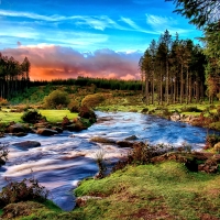 River in Devon Forest,Dartmoor