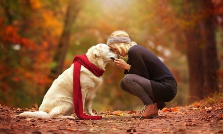 Autumn Day - tot, linistita, o toamna, de